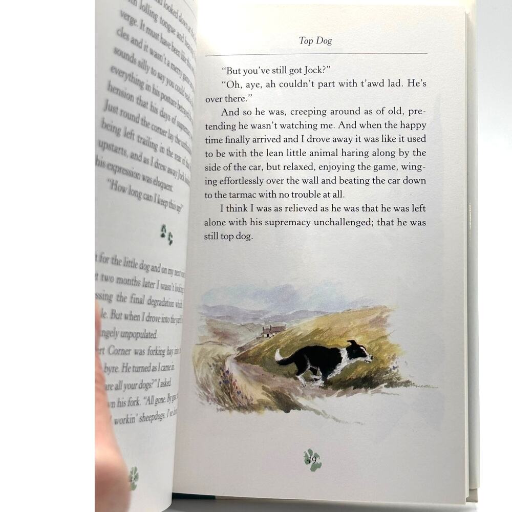 Vintage 1996 First Ed. Dog Stories by James Herriot, HCDJ - Picture 7 of 8